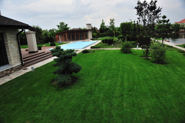 5 бюджетных материалов для придомовой территории на даче, которые вы можете уложить сами