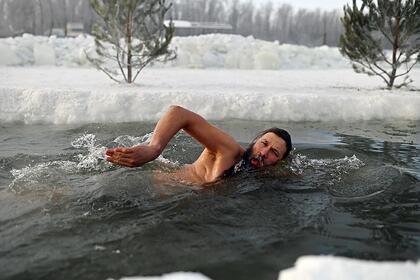 Выяснено влияние холода на метаболизм «моржей»