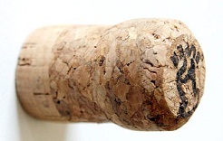 Регулярное употребление шампанского может улучшить память