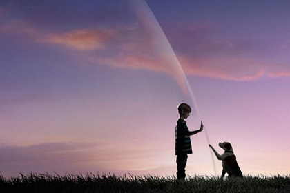 Стивен Кинг поработает над сценарием второго сезона сериала «Под куполом»