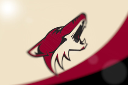 Команда НХЛ сменит название