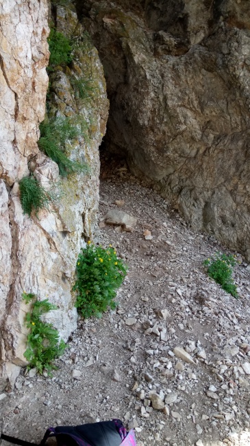 Тропа предков_020