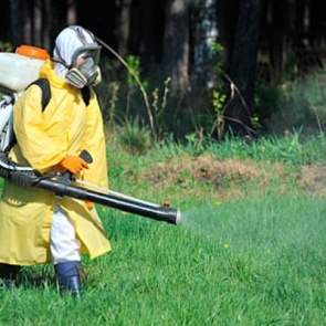 Все городские зоны отдыха будут обработаны от клещей