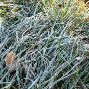 Выходные в Ачинске будут прохладными