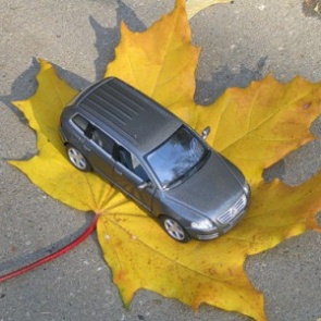 Госавтоинспекция рекомендует автолюбителям перестроиться на «осенний» стиль вождения