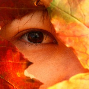 Предстоящие выходные будут прохладными