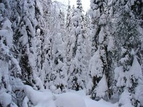 К середине недели ачинцев ждет резкое потепление