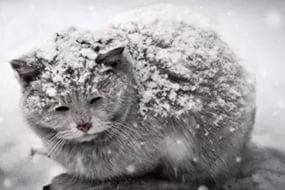 Нас ожидает 25-градусный перепад температур