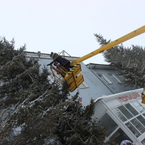 Ачинская полицейская ёлка зажглась огнями