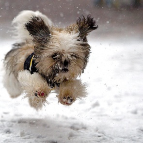 Нас ждут аномально теплые выходные