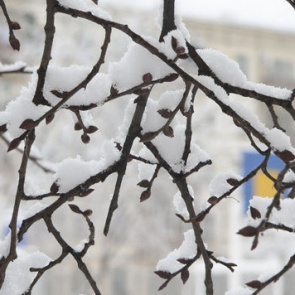 Ачинцев ждут теплые выходные