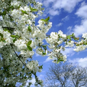 В Ачинске уже к концу недели потеплеет