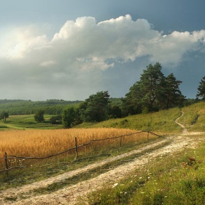 В Ачинске эта рабочая неделя будет дождливой и прохладной