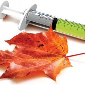 18 сентября 2016 года на 3 городских площадках будет организовано бесплатное вакцинирование от гриппа