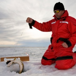 Ачинцам скажут, можно ли есть рыбу