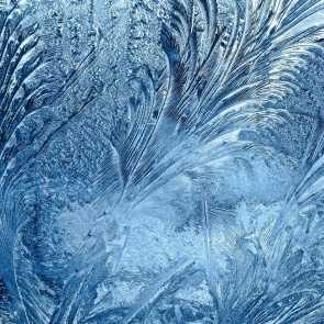 Новая неделя будет по-зимнему холодная