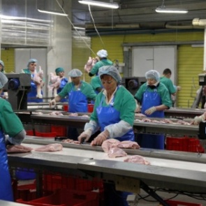 Желающих купить «Индюшкино» за 812 млн рублей не нашлось