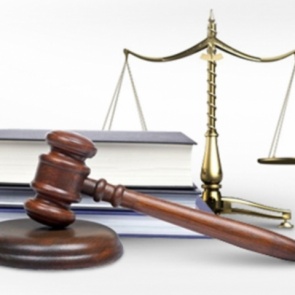 За нападение леопарда в Боготоле представителям цирка грозит до двух лет