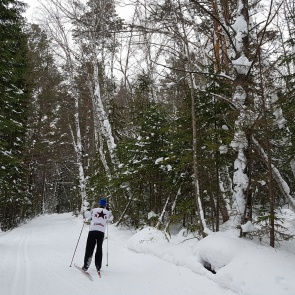 В праздничные выходные любители активного отдыха могут отдохнуть за городом