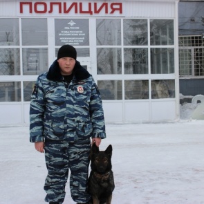 Служебная собака помогла полицейским раскрыть серию краж