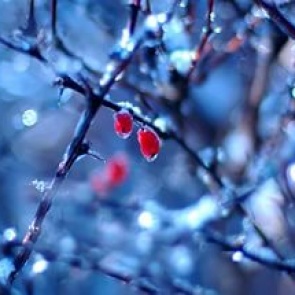 Солнечная неделя с плюсовыми температурами пришла в Ачинск