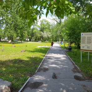 На территориях городских скверов и парков произведут акарицидную обработку