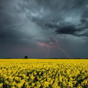 Синоптики предупредили об опасных грозах и граде в последний жаркий день