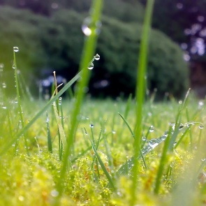 В Ачинске ожидается теплая неделя