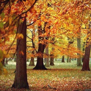 Один из выходных дней порадует нас теплом