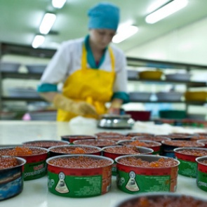 Роспотребнадзор рекомендовал россиянам грамотно выбирать красную икру