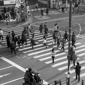 В Госдуме предложили исключить из КоАП ряд статей о лишении водительских прав