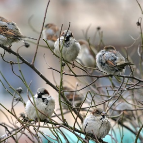 Майские выходные обещают быть теплыми и пасмурными