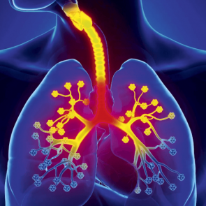 Как лечить бронхит