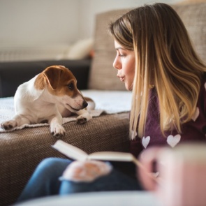 Что положить в ветеринарную аптечку?