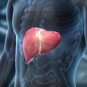 Лечим без таблеток заболевания печени и желчевыводящих путей