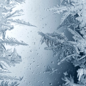 Жуткая стужа: что происходит с организмом при переохлаждении