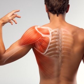 Боль в мышцах: что такое триггерные точки