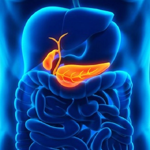 Враги поджелудочной
