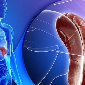 СЕЛЕЗЕНКА - ЧТО ДЛЯ НЕЁ ПОЛЕЗНО