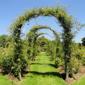 Арки для цветов на даче или в саду