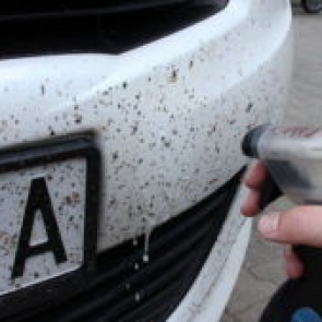 Как избавиться от следов мошек на автомобиле?