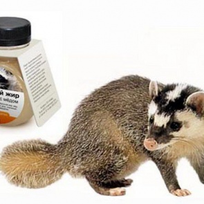 Барсучий жир
