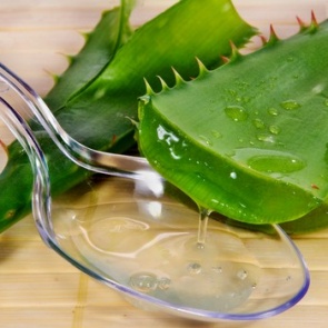 Алоэ: 5 полезных свойств, о которых следует знать