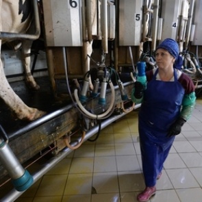 Россиянам назвали самые опасные для продолжения рода профессии 1