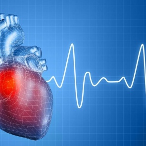 Здоровый ритм — как помочь своему сердцу