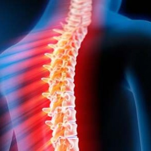 Методы обследования позвоночника