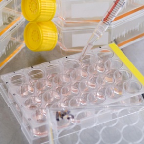 Найден способ обратить старение человека