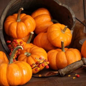 КАК СОХРАНИТЬ ТЫКВУ ЗИМОЙ В ЧАСТНОМ ДОМЕ И КВАРТИРЕ