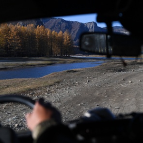 Водителям рассказали о способах остановить автомобиль при отказе тормозов