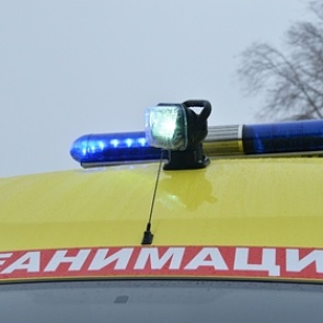 Первоклассница поиграла с кошкой и умерла